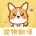 人猫语交流器原版