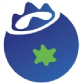 蓝莓电视通用版