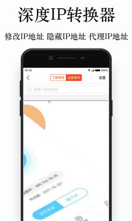 深度IP转换器手机免费版图2