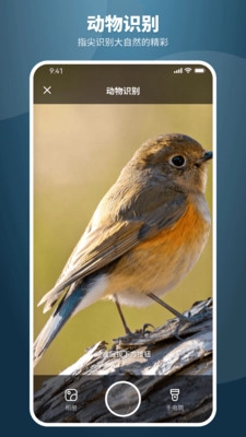 智能扫描全能王正版