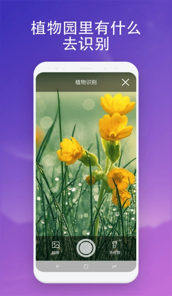 无垠扫描直装版图2