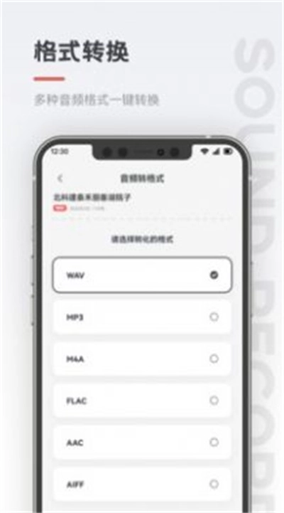 保密录音机安卓直装版图1