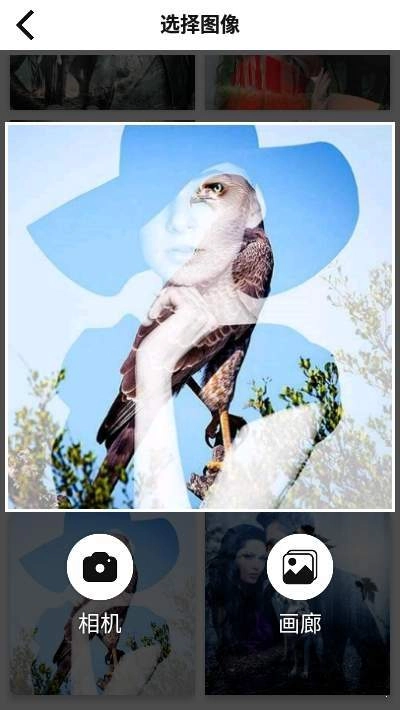 照片混合器app下载