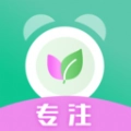 时间规划局人生规划最新版