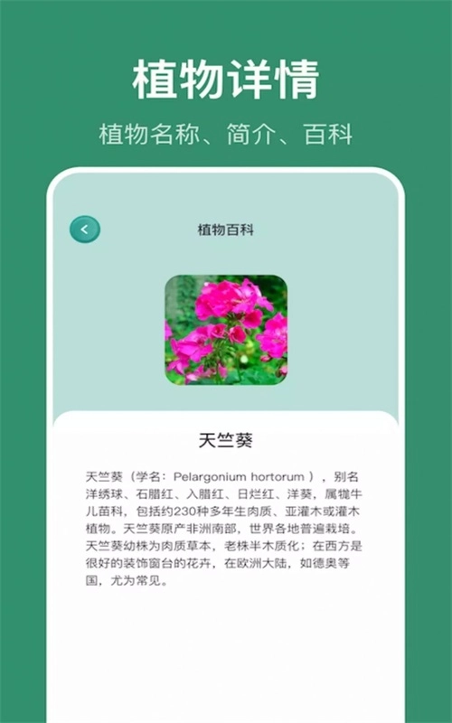 小黄养花免费版
