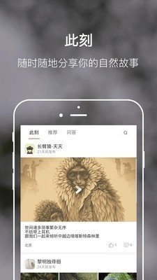 缤纷自然安卓直装版图2