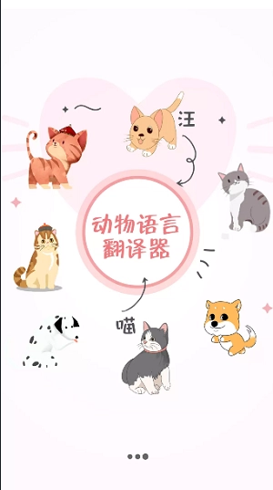 猫与翻译器正版下载