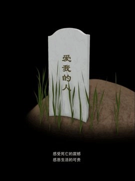 墓碑直装版