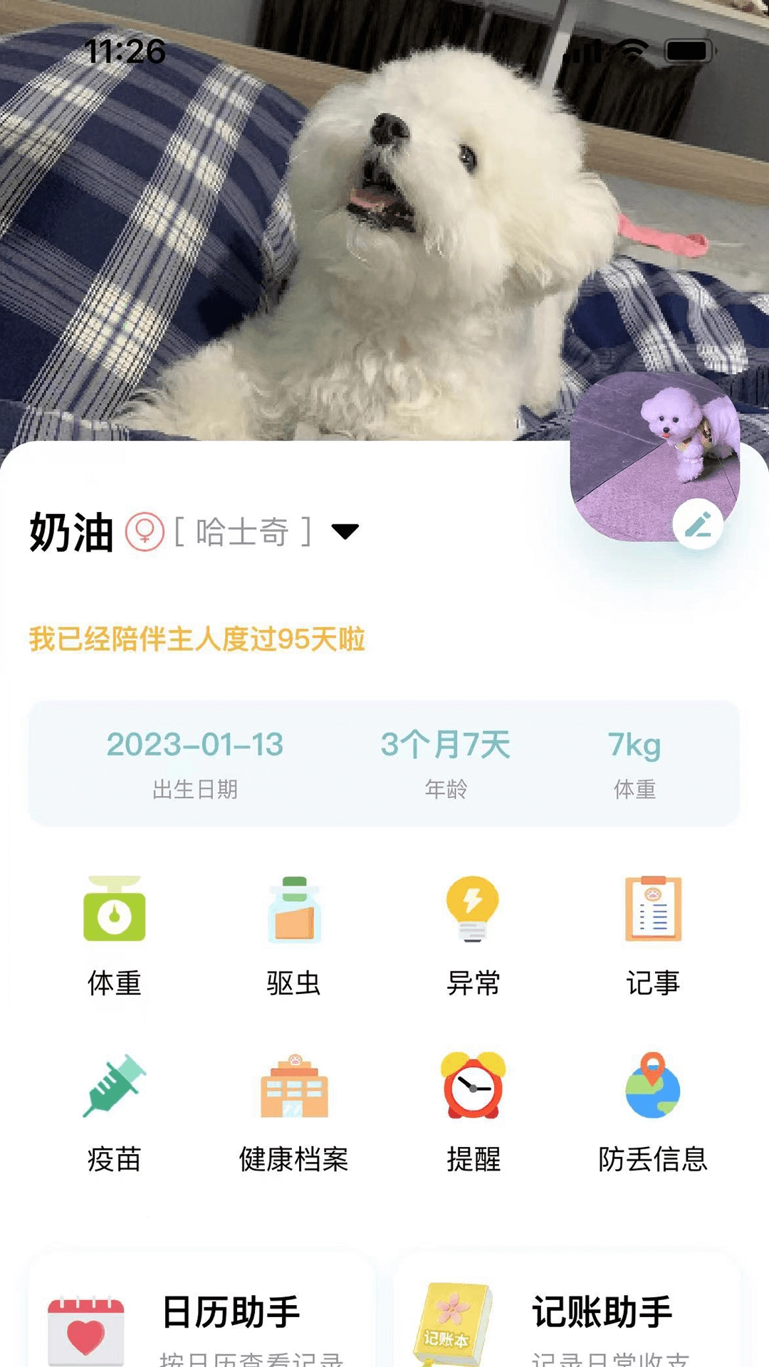 述宠正版图1