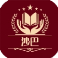 沙龙巴掌词典安卓直装版
