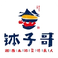 钵子哥免费版