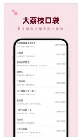 大荔枝口袋安卓免费版图2