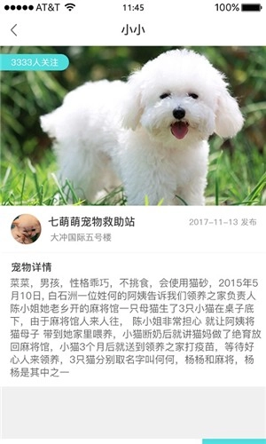 领养家安卓直装版