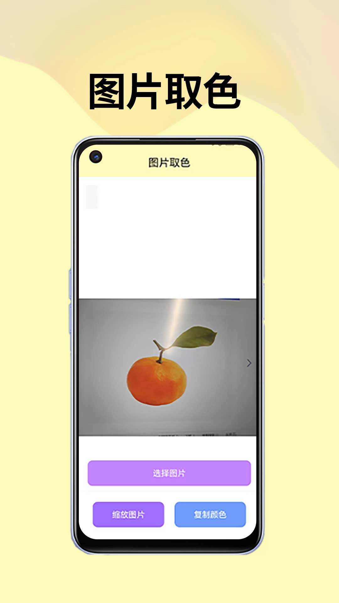 皮皮袋最新版图3