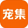 宠集服务端免费版