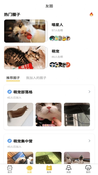 友猫社区安卓官方版