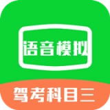 驾考科目三语音模拟原版