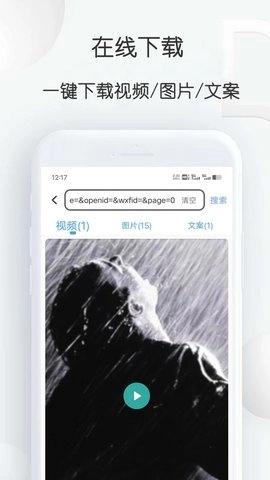 短视频提取大师直装版图3