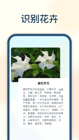 试卷星免费原版