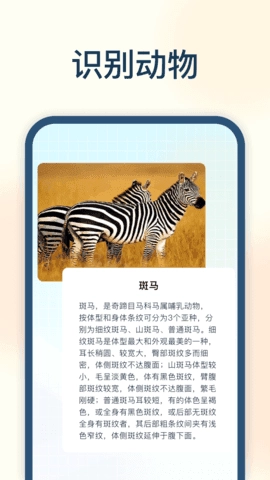 试卷星免费原版
