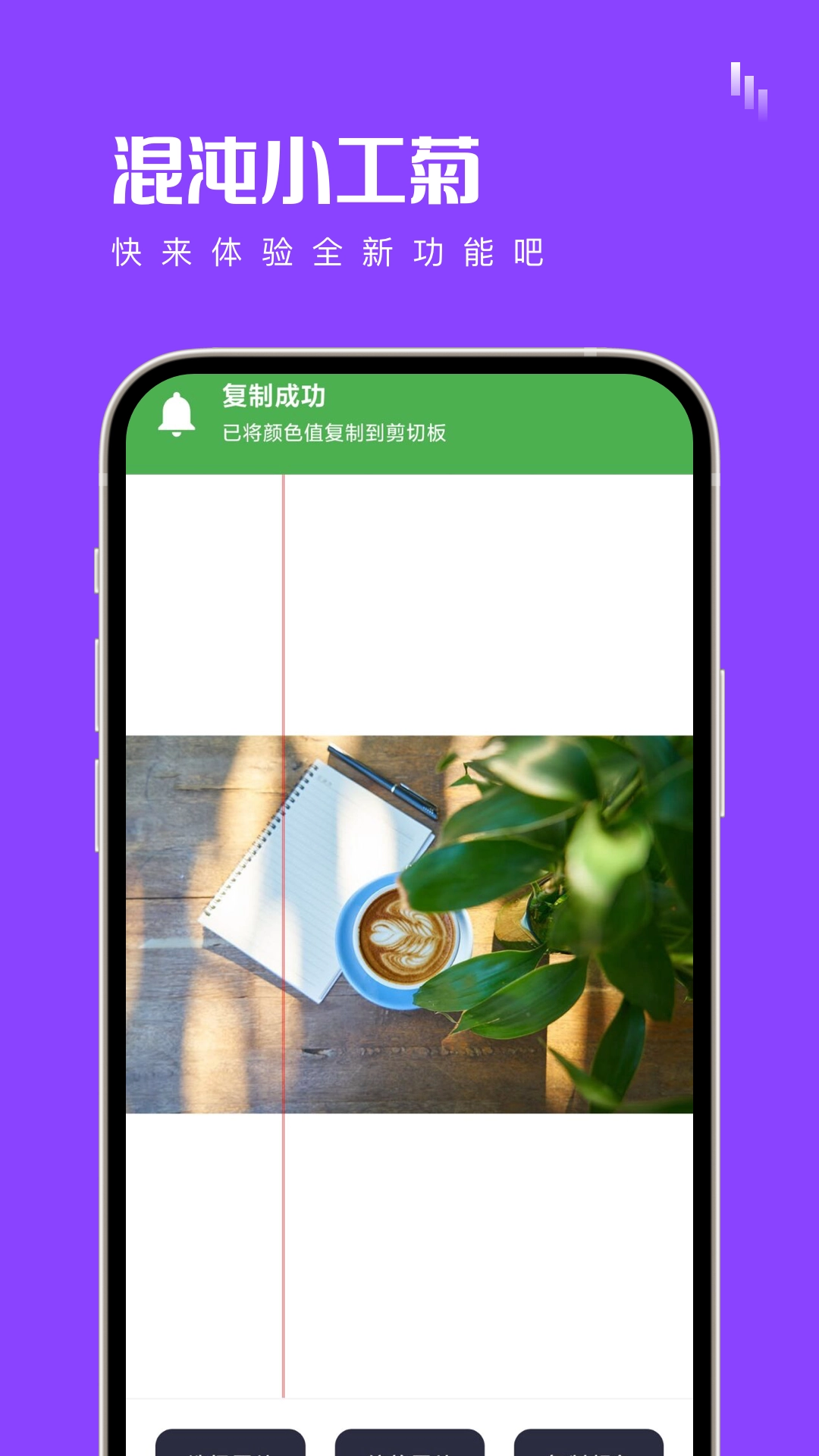 混沌小工菊官方最新版
