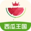 西瓜王國安卓免費版