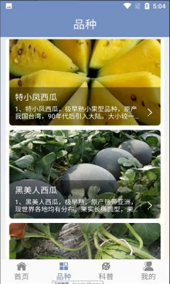 西瓜王國安卓免費版