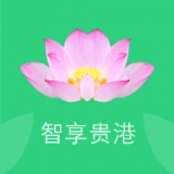 智享贵港官方版