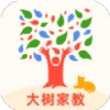 大树家教