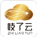 吱了云安卓官方版