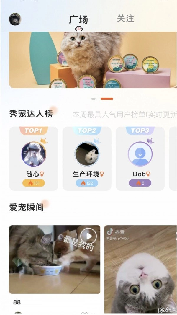 哆伽宠正版