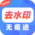 去水印Pro王通用版
