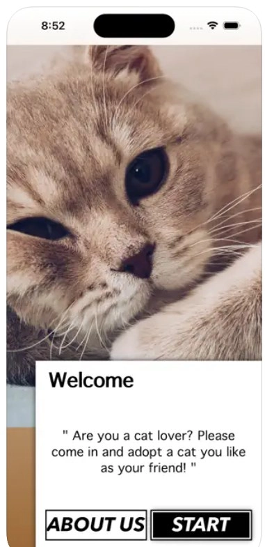 爱猫物语宠物店中文最新版