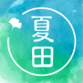 夏田e学无广告版