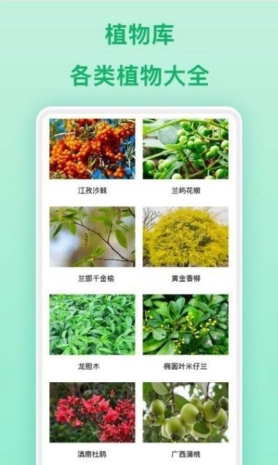 行色识物手机最新版图2