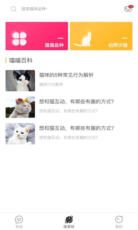 云养猫官方最新版图1