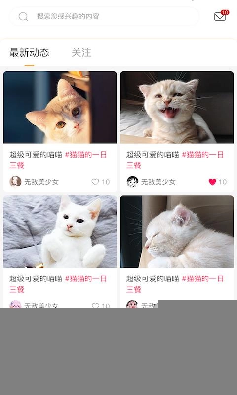 云养猫官方最新版图3