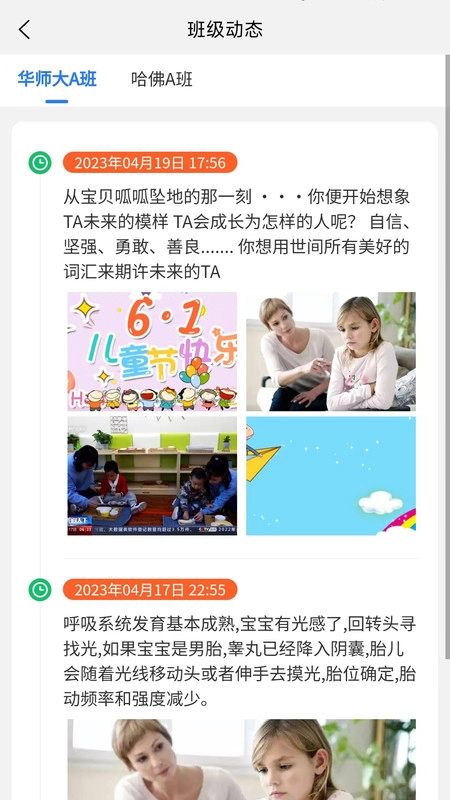 宝可托园丁安装下载