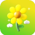 雏菊相机通用版