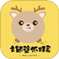 壁纸大全鸭无广告版
