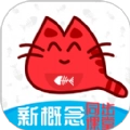 大猫新概念英语同步课堂手机版
