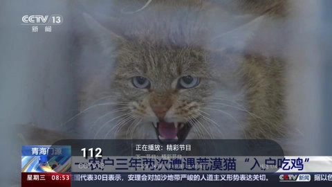 高清TV免费版