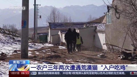 高清TV免费版