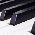 钢琴节奏器手机正版