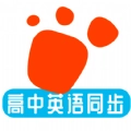 迈级高中英语同步学通用版