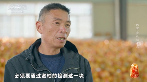 新际TV最新版