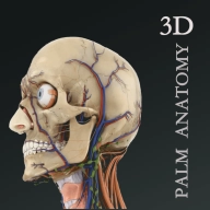 掌上3D解剖手机最新版