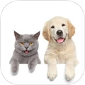 我的猫猫狗狗翻译器最新版