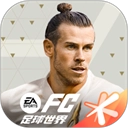 fc足球世界国际服