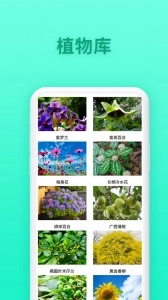 养花大全软件直装版图3
